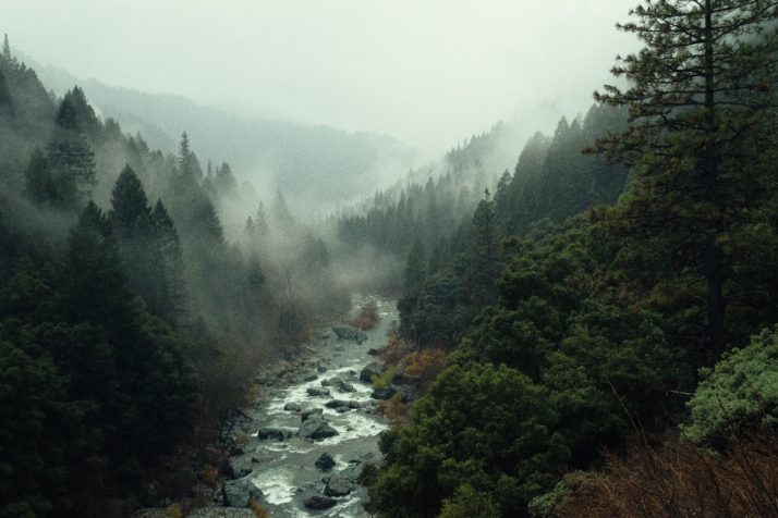 Landscape Photography